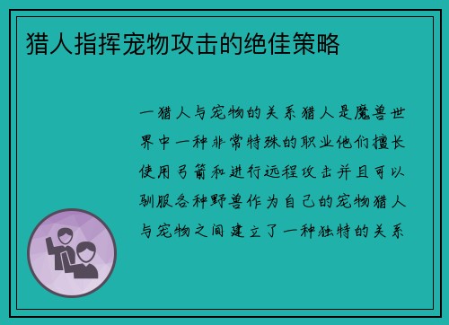 猎人指挥宠物攻击的绝佳策略 猎人指挥宠物攻击的绝佳策略